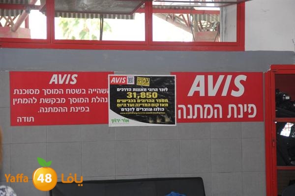 avis lud 0524 (57).JPG